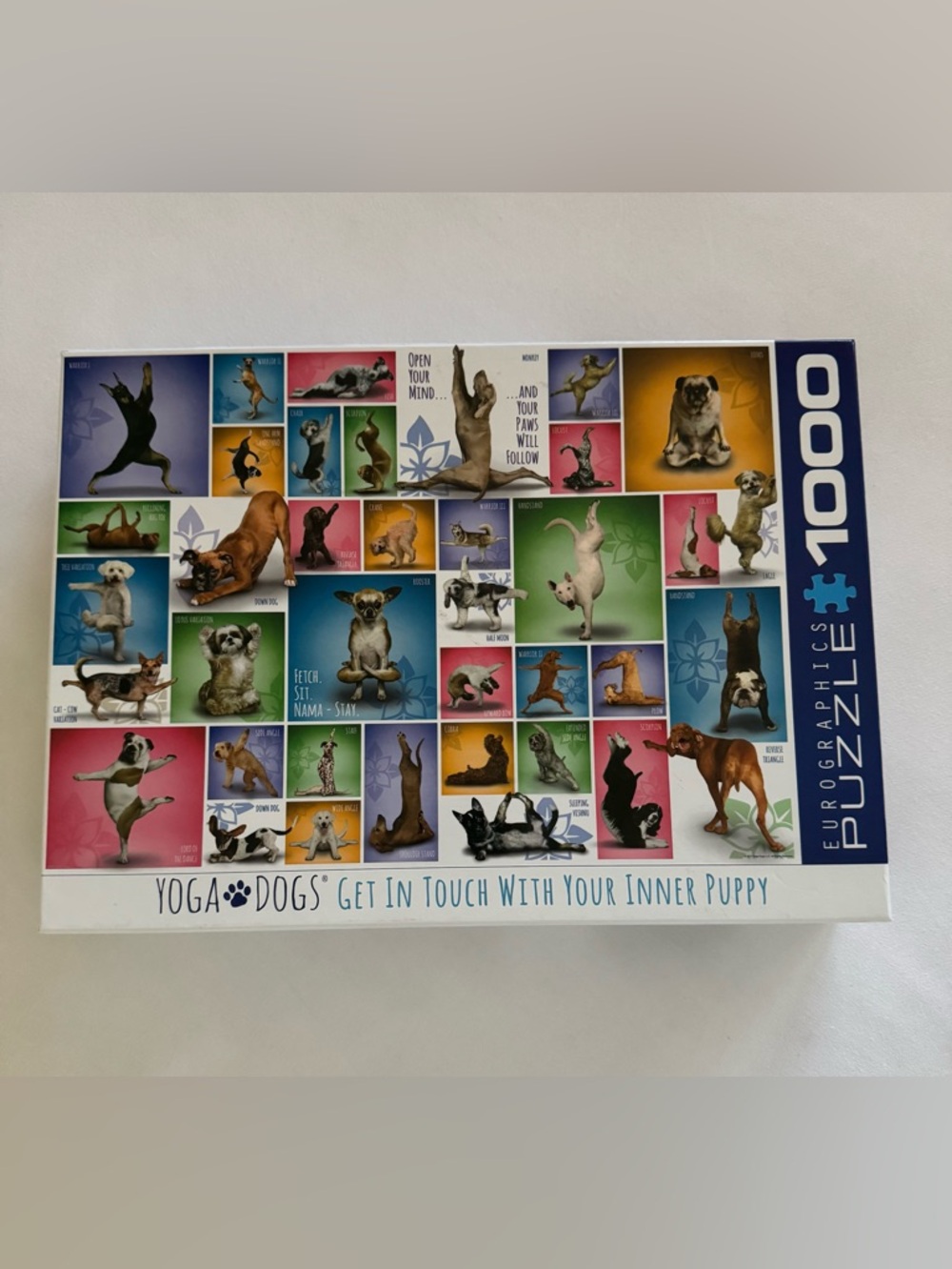 Eurographics 1000 piece puzzle "Yoga Dogs".  EUC.